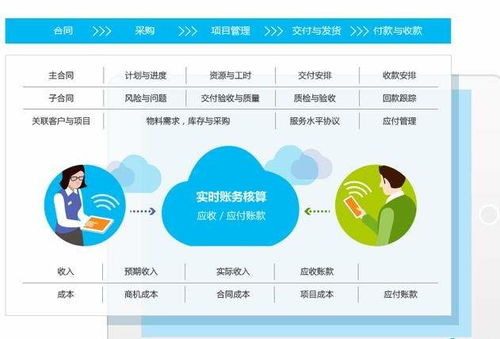 森渥項目型企業(yè)管理咨詢 以智能系統(tǒng)為引擎，一鍵破解財務(wù)管理核心難題